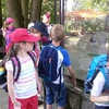 Fotografie 28 - Exkurze ZOO Chomutov