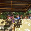 Fotografie 4 - Exkurze ZOO Chomutov