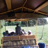 Fotografie 8 - Exkurze ZOO Chomutov