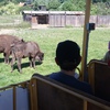 Fotografie 12 - Exkurze ZOO Chomutov