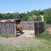 Fotografie 14 - Exkurze ZOO Chomutov