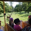 Fotografie 15 - Exkurze ZOO Chomutov