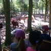 Fotografie 22 - Exkurze ZOO Chomutov
