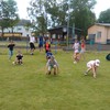 Fotografie 21 - Sportovní dopoledne v Oldřichově 30.6.17