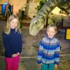 Fotografie 1 - DINOPARK LIBEREC