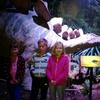 Fotografie 3 - DINOPARK LIBEREC