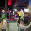 Fotografie 10 - DINOPARK LIBEREC