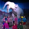 Fotografie 13 - DINOPARK LIBEREC