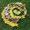 Fotografie 4 - Land art