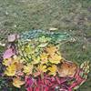 Fotografie 9 - Land art