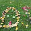 Fotografie 11 - Land art
