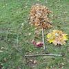 Fotografie 15 - Land art