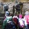 Fotografie 1 - ZOO ÚSTÍ NAD LABEM