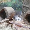 Fotografie 2 - ZOO ÚSTÍ NAD LABEM