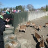 Fotografie 7 - ZOO ÚSTÍ NAD LABEM