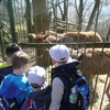 Fotografie 9 - ZOO ÚSTÍ NAD LABEM