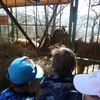 Fotografie 10 - ZOO ÚSTÍ NAD LABEM