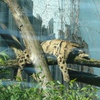 Fotografie 20 - ZOO ÚSTÍ NAD LABEM
