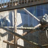 Fotografie 22 - ZOO ÚSTÍ NAD LABEM