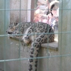 Fotografie 24 - ZOO ÚSTÍ NAD LABEM