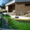 Fotografie 25 - ZOO ÚSTÍ NAD LABEM