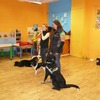 Fotografie 1 - Canis Therapy
