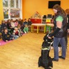 Fotografie 2 - Canis Therapy