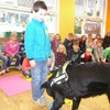 Fotografie 5 - Canis Therapy