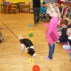 Fotografie 8 - Canis Therapy