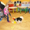 Fotografie 11 - Canis Therapy
