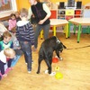 Fotografie 12 - Canis Therapy