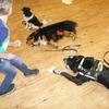 Fotografie 18 - Canis Therapy