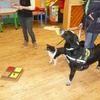 Fotografie 23 - Canis Therapy