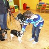 Fotografie 24 - Canis Therapy