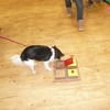 Fotografie 26 - Canis Therapy