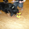 Fotografie 28 - Canis Therapy