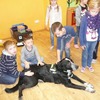 Fotografie 34 - Canis Therapy