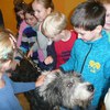 Fotografie 35 - Canis Therapy