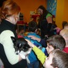 Fotografie 36 - Canis Therapy