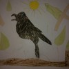 Fotografie 33 - Krkavci