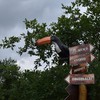 Fotografie 29 - FAJNPARK