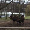 Fotografie 12 - ZOOpark Chomutov