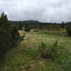 Fotografie 29 - Škola v přírodě Zadov úterý