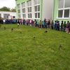 Fotografie 21 - Dravci a sovy