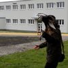 Fotografie 27 - Dravci a sovy