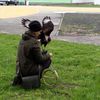 Fotografie 28 - Dravci a sovy