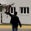 Fotografie 31 - Dravci a sovy