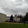 Fotografie 33 - Dravci a sovy