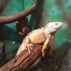 Fotografie 1 - Biopark Gymnázium Teplice