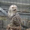 Fotografie 5 - Biopark Gymnázium Teplice